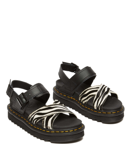 Voss II Hair-On Zebra Print Sandals in Black+zebra Print