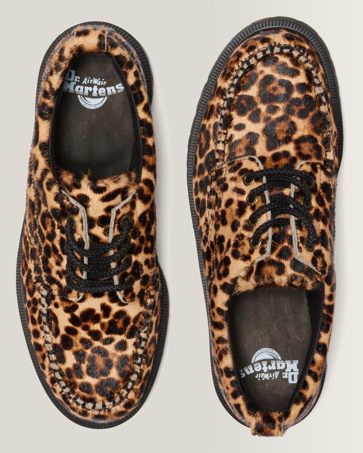 LOWELL in Archive Leopard